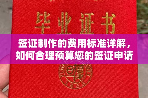 秀山签证制作的费用标准详解，如何合理预算您的签证申请成本